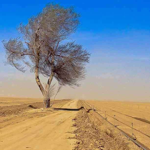 High winds in the desert. Dust storms everywhere. High winds in the desert. Dust storms everywhere.